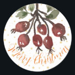 Berry Merry Christmas Pegatina<br><div class="desc">Deliciosa acuarela pintada a mano Subió pegatinas navideñas de cadera. Te deseo una Berry Merry Christmas. Todos los diseños de creación de cucumelón están protegidos por derechos de autor.</div>