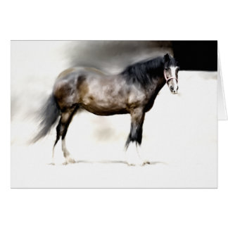 BERTHA MAYER SHIRE HORSE