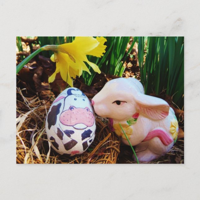 Besado de conejo de Pascua, tarjeta postal de vaca (Anverso)