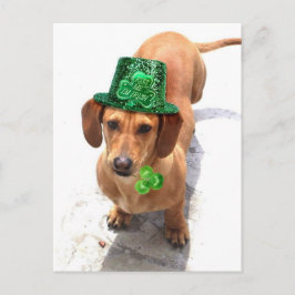 Bésame, soy la postal irlandesa Dachshund