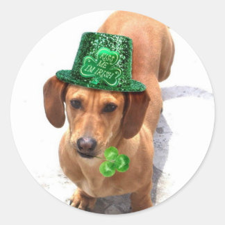 Bésame soy pegatinas irlandeses de Dachshund