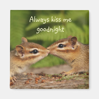 Besando el imán de Chipmunks
