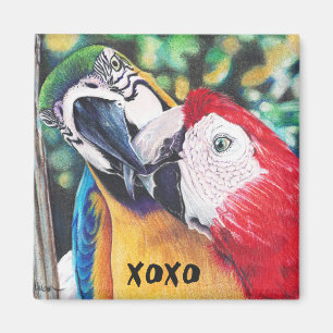 besar el imán de los macaws