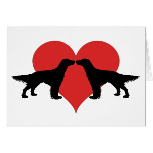 Besar perros