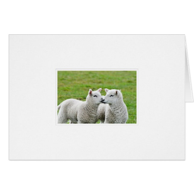 Besar y maquillarse (Anverso (Horizontal))