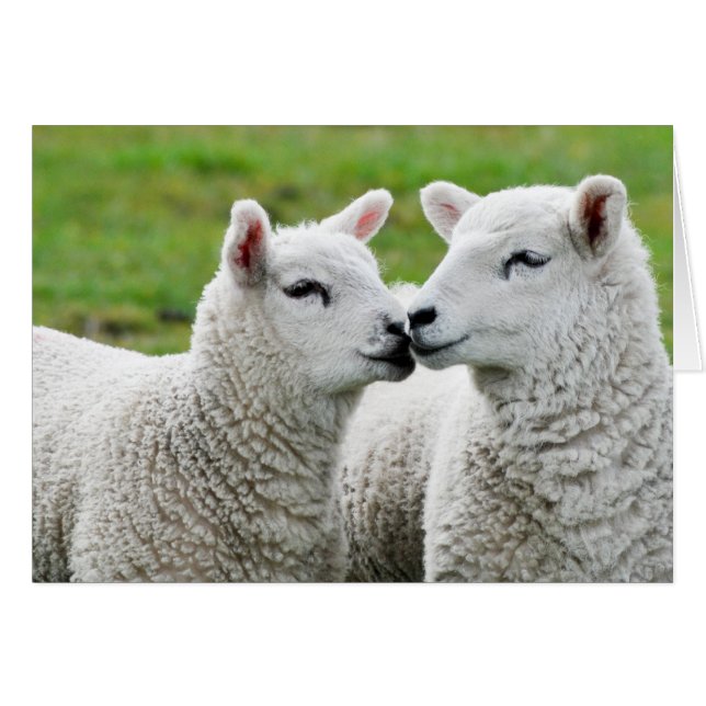 Besar y maquillarse (Anverso (Horizontal))