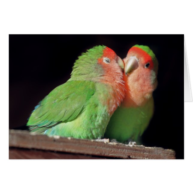 Béseme tarjeta (Anverso (Horizontal))