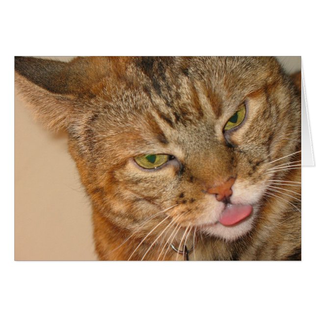 beso de gatitos (Anverso (Horizontal))