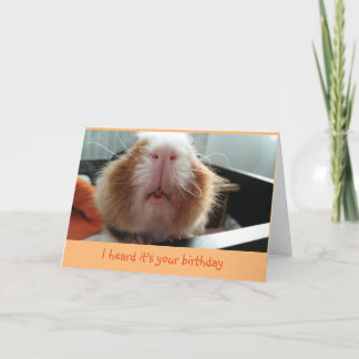 Besos de piggie y tarjeta de cumpleaños de bigotes