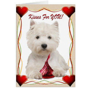 Besos de Westie para usted