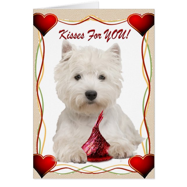 Besos de Westie para usted (Frente)
