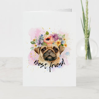 Best friend pug for dogs and pugs lover