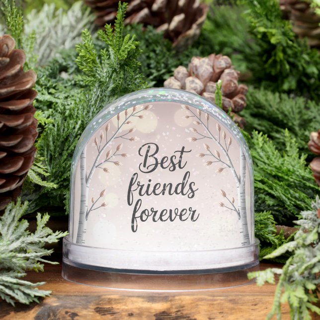 Best Friends Forever Snow Globe – Cute Minimal Fri