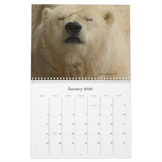 Bestias en una ciudad populosa - calendario (Jan 2026)