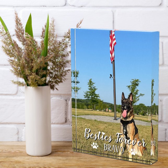 Bestias para siempre, foto de BFF, Personalizado m (Subido por el creador)