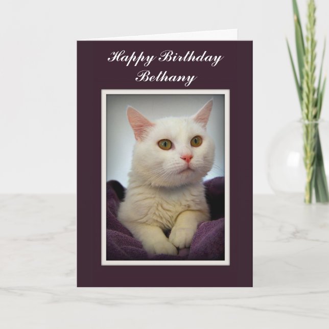 Bethany tarjeta de gato blanco de cumpleaños feliz (Anverso)
