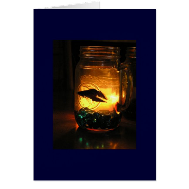 Betta en un Jar (Frente)