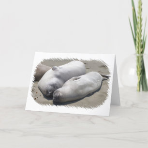 BFF - Mejor Tarjeta de Amigos para Siempre