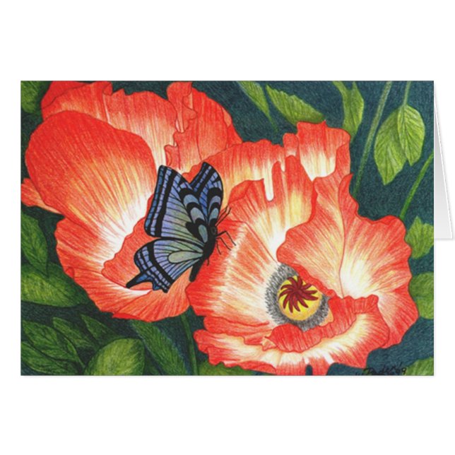 BFLYPOPY (Anverso (Horizontal))