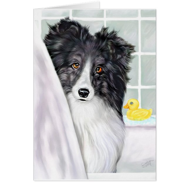 Bi Black Sheltie Bath (Frente)