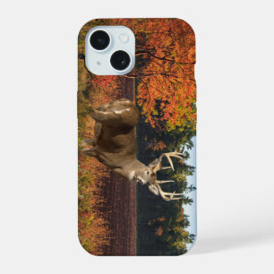 Bíb Whitetail Buck golpea a un Funda de iPhone 15