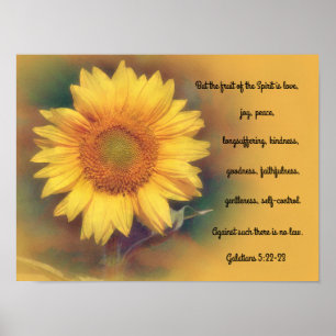 Biblia de flores de girasol versus Poster de arte