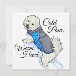 Bichon de Nieve de Corazón Cálido
