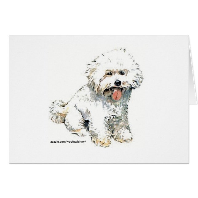 Bichon Frise (Anverso (Horizontal))