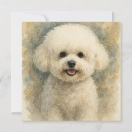 Bichón Frisé