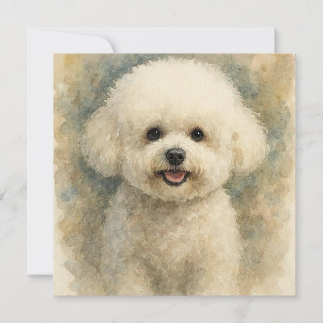 Bichón Frisé (Anverso)