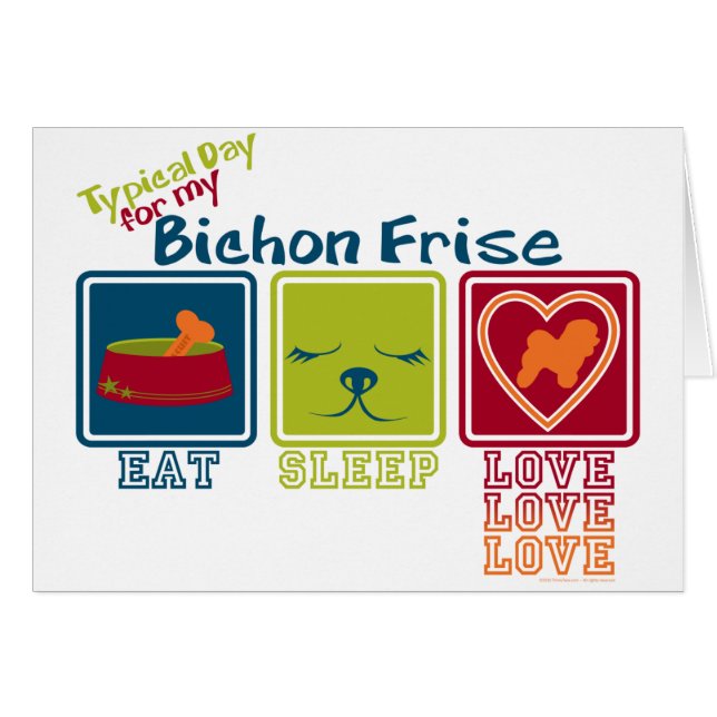 Bichon Frise (Anverso (Horizontal))