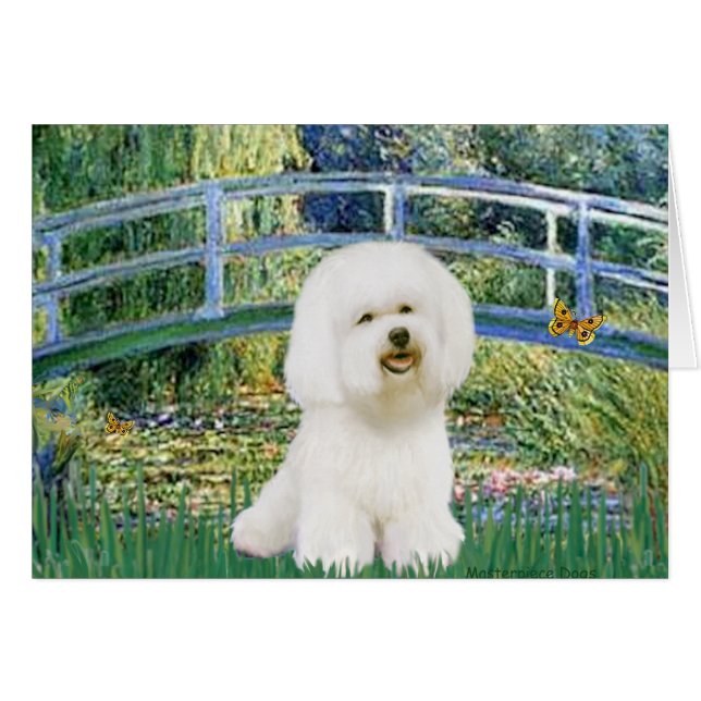 Bichon Frise 1 - Puente (Anverso (Horizontal))