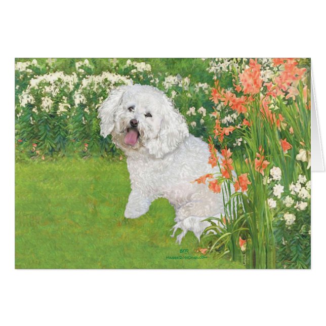 Bichon Frise Fantasía Coral (Anverso (Horizontal))