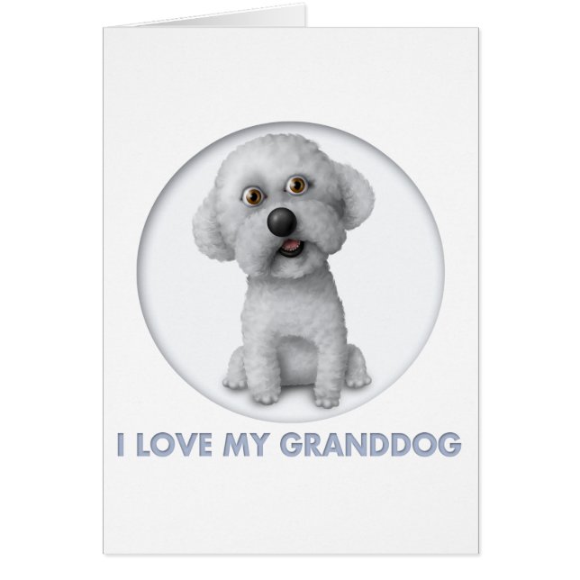 Bichon Frise Granddog (Frente)