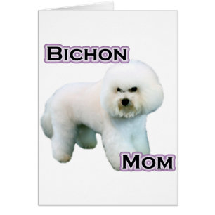 Bichon Frise Mom 4
