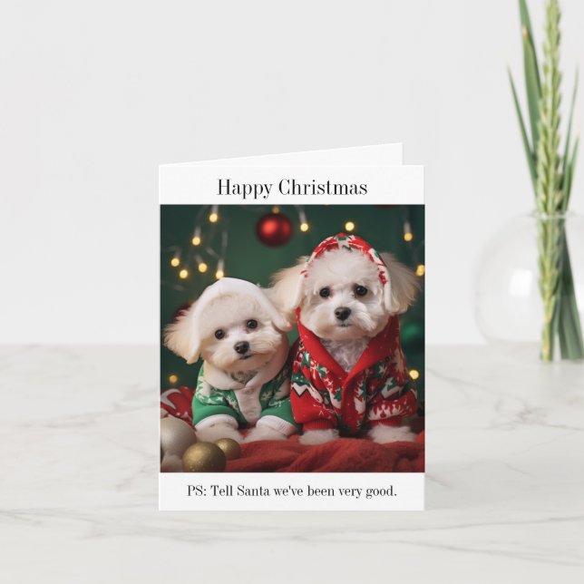Bichon Frise Puppies Tarjeta de Navidades felices (Anverso)