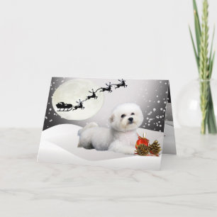 Bichon Frise una tarjeta de felicitación de las