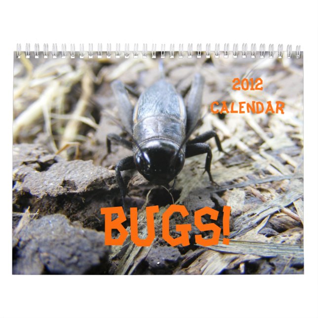BICHOS! Calendario de 2012 (Tapa)