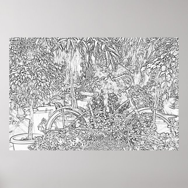 Bicicleta de arte de la Línea Blanca y Negra (Frente)