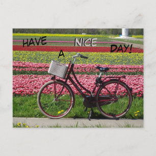 Bicicleta en el estadio Tulips con tarjeta postal