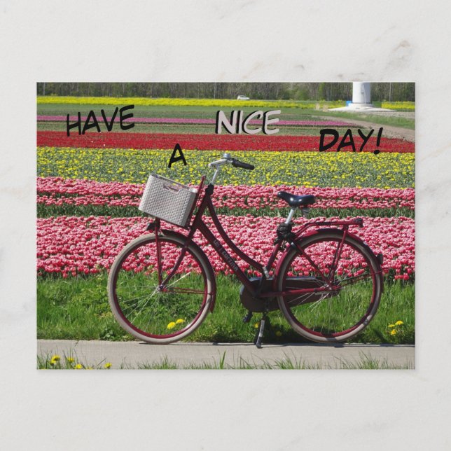 Bicicleta en el estadio Tulips con tarjeta postal (Anverso)