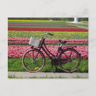 Bicicleta en la tarjeta postal Tulips Field DIY