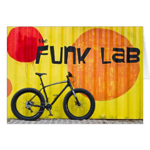 Bicicleta gorda Funk Lab