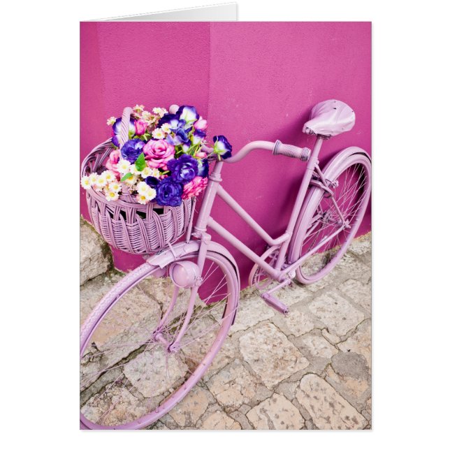 Bicicleta rosa (Frente)