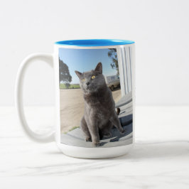 Bicolor 15 onzas. Taza del gato