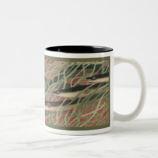 Bicolor Anguilas - taza de café