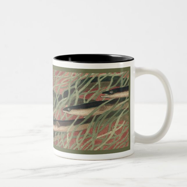Bicolor Anguilas - taza de café (Derecha)