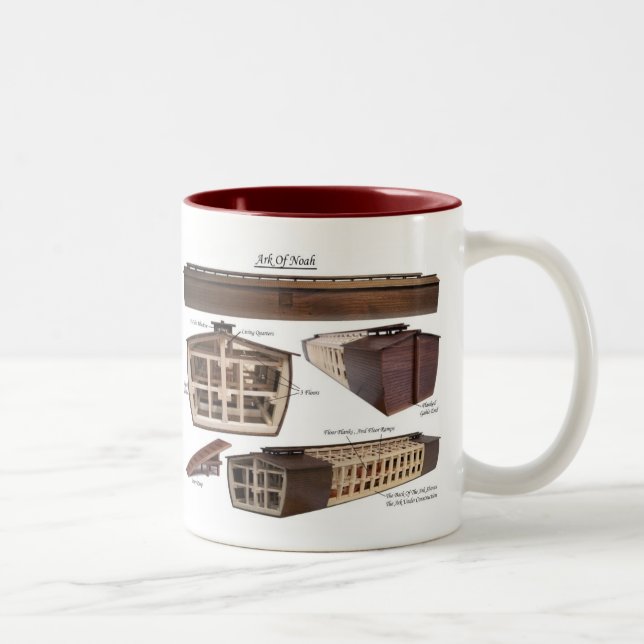 Bicolor Arca de la taza de Noah (Derecha)