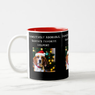 Bicolor Beagle en Santa hat en taza de café