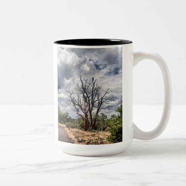 Bicolor Considere los cuervos taza (Derecha)